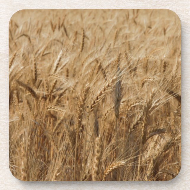 Dessous-de-verre Erick, Oklahoma Route 66 (Devant)