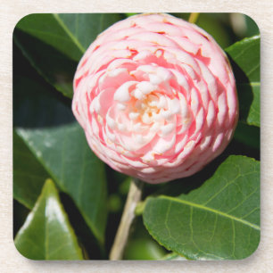 Dessous-de-verre États-Unis, Alabama, Théodore près de Mobile