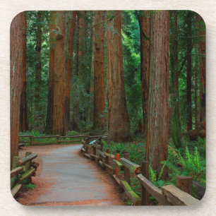 Dessous-de-verre États-Unis, Californie. Chemin parmi les séquoias