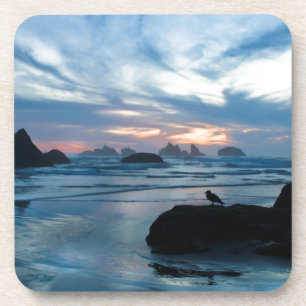 Dessous-de-verre États-Unis, Oregon, Bandon Beach. Mouette sur un r