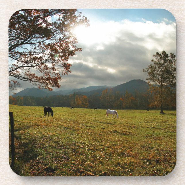 Dessous-de-verre États-Unis, Tennessee. Cheval Dans La Vallée De Ca (Devant)