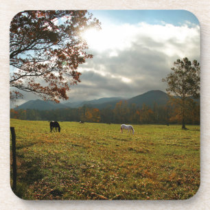 Dessous-de-verre États-Unis, Tennessee. Chevaux dans la vallée de C