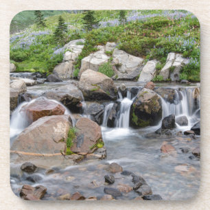 Dessous-de-verre États-Unis, Washington, Parc national du mont Rain