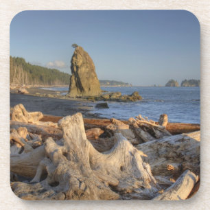 Dessous-de-verre États-Unis, Washington, Parc national Olympique, R