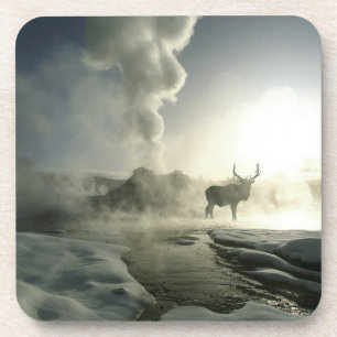 Dessous-de-verre États-Unis, Wyoming, Parc national de Yellowstone.