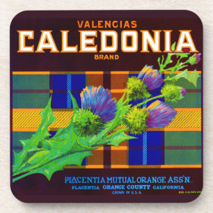 Dessous-de-verre étiquette de caisse orange Caledonia 1930