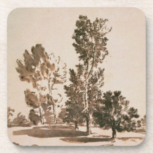 Dessous-de-verre Étude d'arbre (stylo et encre sur le papier)