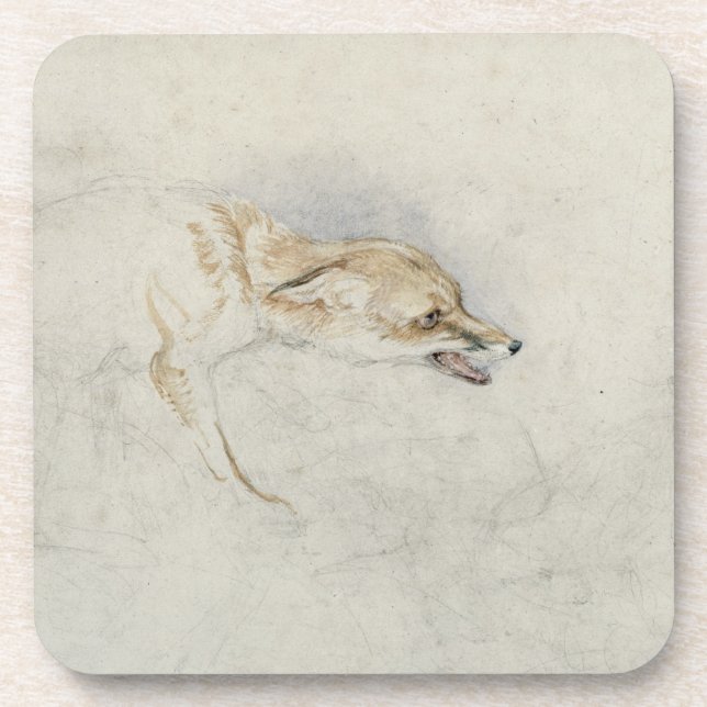 Dessous-de-verre Étude d'un Fox de acroupissement, faisant face au (Devant)