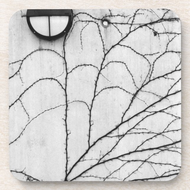 Dessous-de-verre Europe, Suisse, Lucerne. Motif de lierre sur (Devant)