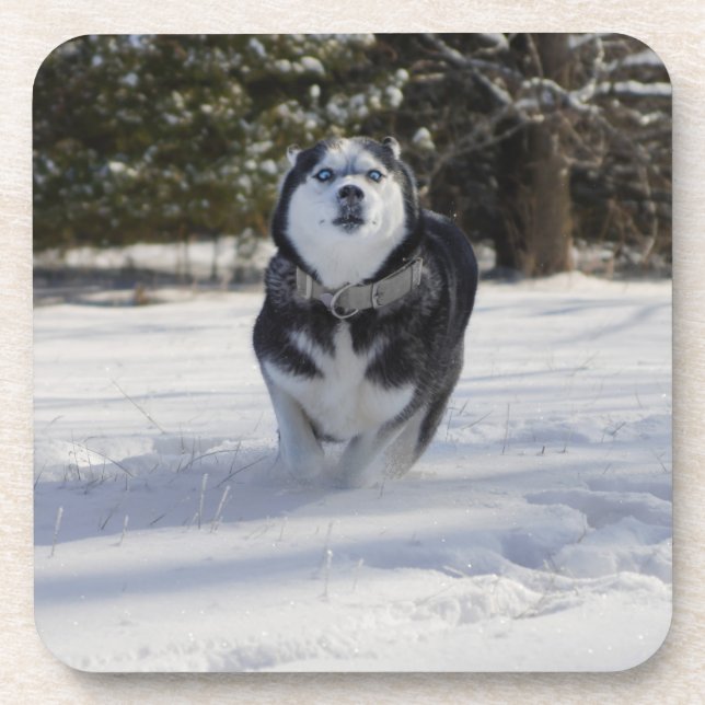 Dessous-de-verre Facturation (Devant)