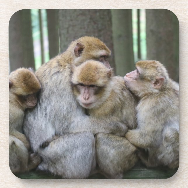 Dessous-de-verre Famille Cute Ape Photo Hug (Devant)