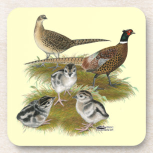 Dessous-de-verre Famille de faisans à collier
