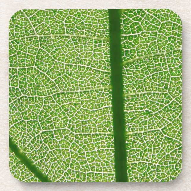 Dessous-de-verre Fermer la feuille verte (Devant)