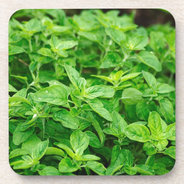 Dessous-de-verre Feuille (Devant)