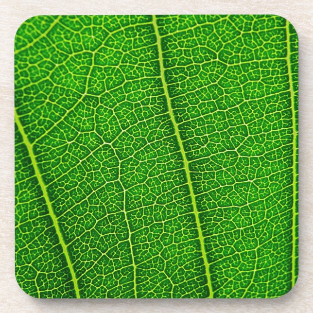 Dessous-de-verre Feuille (Devant)