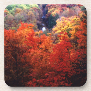 Dessous-de-verre Feuille d'automne changeant la couleur