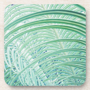 Dessous-de-verre Feuille de palmier de plante verte douce