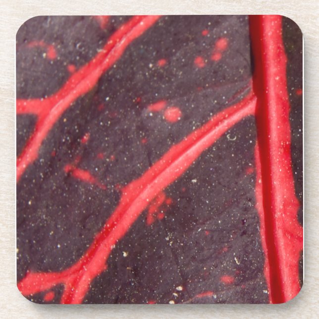 Dessous-de-verre Feuille hawaïenne veinée rouge 3 (Devant)