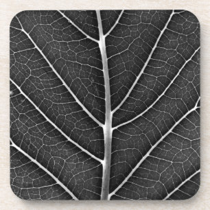 Dessous-de-verre Feuille lumineuse noir et blanc en gros plan