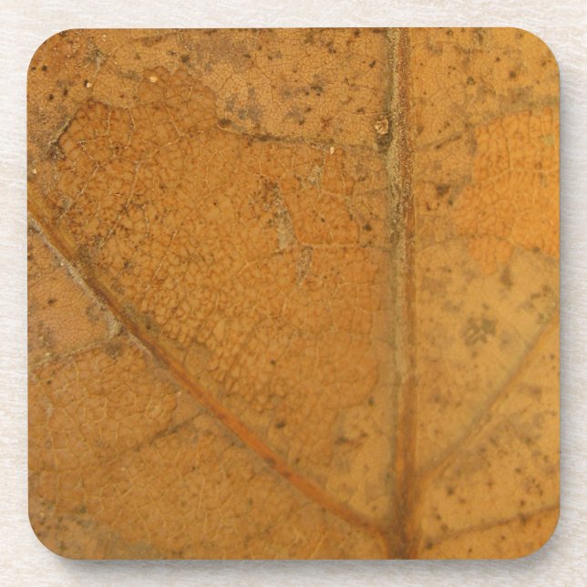 Dessous-de-verre Feuille tombante 2 (Devant)