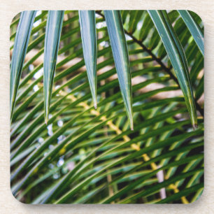 Dessous-de-verre Feuille tropical vert