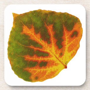 Dessous-de-verre Feuille vert orange et jaune d'Aspen #1