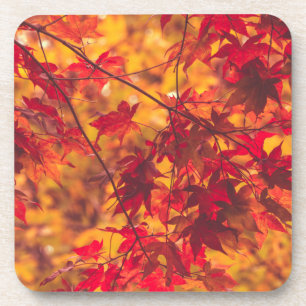Dessous-de-verre Feuilles d'automne Couleur rouge automne