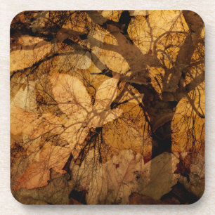 Dessous-de-verre Feuilles dorées et brunes Merritt Island, FL