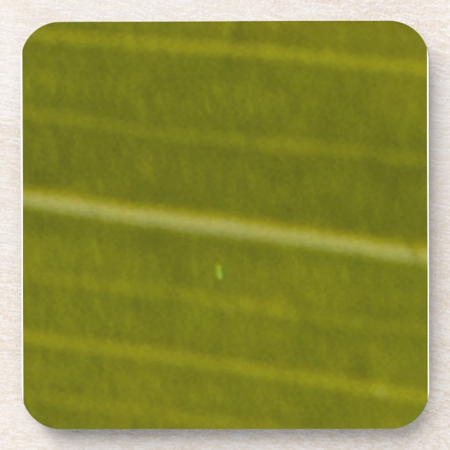 Dessous-de-verre Feuilles Hawaiiennes Variées Vertes (Devant)