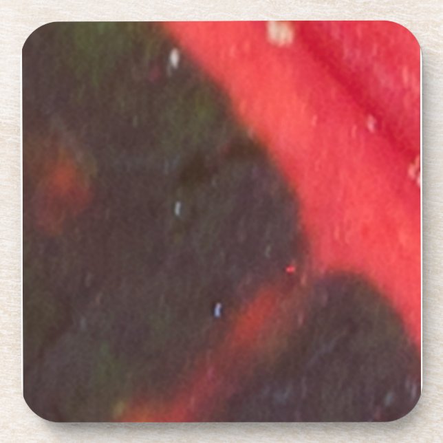 Dessous-de-verre Feuilles variées Hawaiiennes rouges et vertes (Devant)