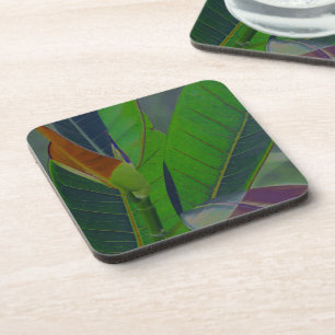 Dessous-de-verre Feuilles Vertes en Gros Plan