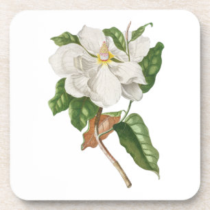 Dessous-de-verre Fleur : A004 Magnolia -