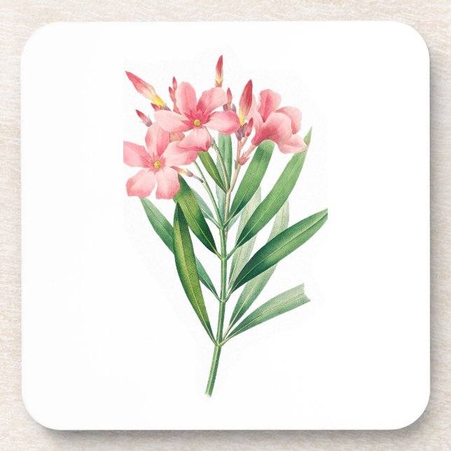 Dessous-de-verre Fleur : A005 Oleander - (Devant)