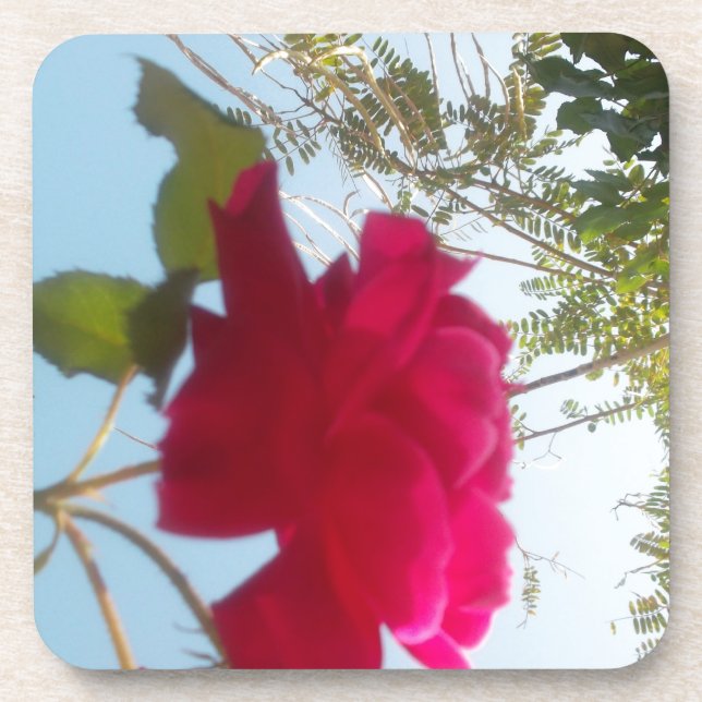 Dessous-de-verre Fleur céleste : Un Rose contre le ciel (Devant)
