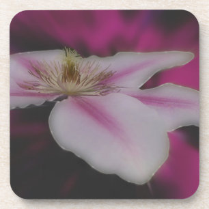 Dessous-de-verre Fleur Clematis Blanche Et Rose