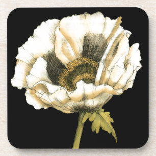 Dessous-de-verre Fleur crème de pavot sur l'arrière - plan noir