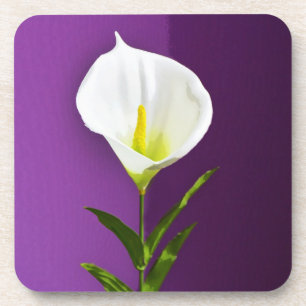 Dessous-de-verre Fleur de Cala Lily