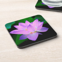 Fleur de Lotus Élégante