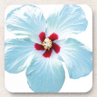 Dessous-de-verre Fleur d'Hibiscus hawaïen