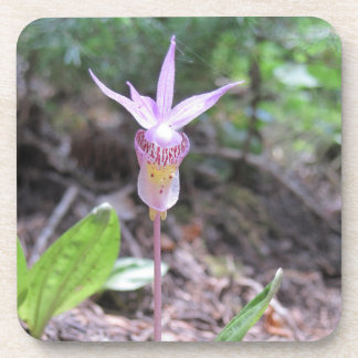 Dessous-de-verre Fleur d'orchidée Fairyslipper