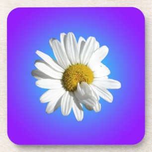 Dessous-de-verre Fleur marguerite blanche Flore pourpre Bleu Dégrad