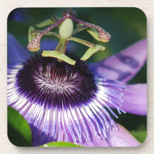 Dessous-de-verre Fleur Passion