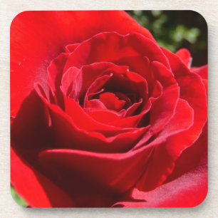 Dessous-de-verre Fleur rose rouge vif Belle florale