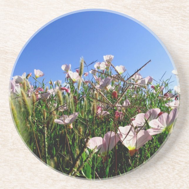 DESSOUS DE VERRE - FLEUR SAUVAGE (Devant)