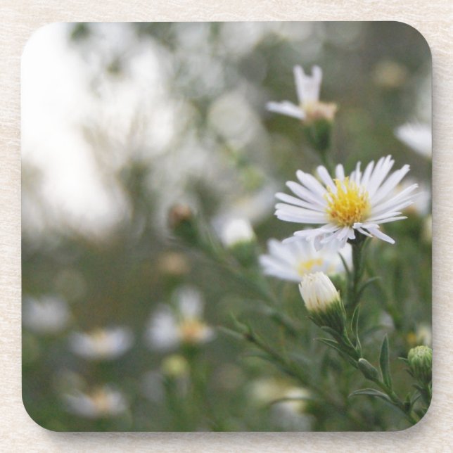 Dessous-de-verre Fleurs (Devant)