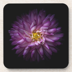 Dessous-de-verre Fleurs 20