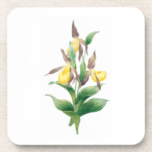 Dessous-de-verre Fleurs : A011 Chaussure Lady Jaune -