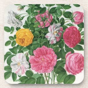 Dessous-de-verre Fleurs anciennes en fleurs, roses de jardin de pri