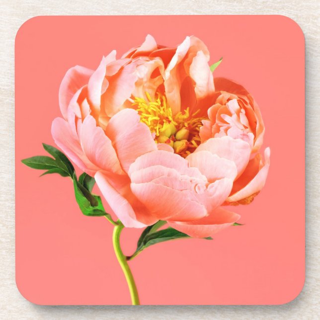 Dessous-de-verre Fleurs | Coral Peony Blossom (Devant)