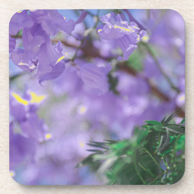 Dessous-de-verre Fleurs d'arbre pourpres Jacaranda (Devant)